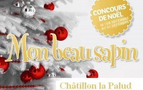 CONCOURS SAPIN 2014